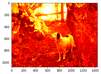 ../_images/visualization_visualization-images-sol_12_1.png