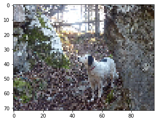 ../_images/visualization_visualization-images-sol_166_1.png