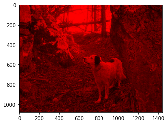 ../_images/visualization_visualization-images-sol_171_1.png