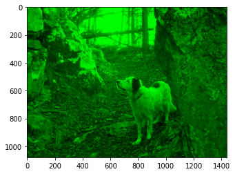 ../_images/visualization_visualization-images-sol_176_1.png
