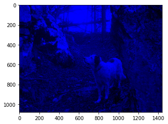 ../_images/visualization_visualization-images-sol_181_1.png
