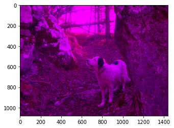 ../_images/visualization_visualization-images-sol_191_1.png