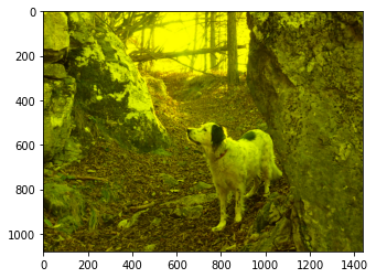 ../_images/visualization_visualization-images-sol_196_1.png