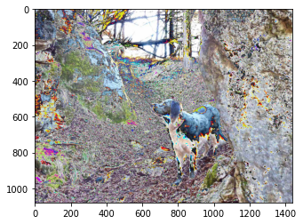 ../_images/visualization_visualization-images-sol_209_1.png