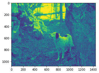 ../_images/visualization_visualization-images-sol_6_1.png
